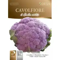 Карфиол Сицилиански Виолетов Di Sicilia Violetto