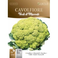 Карфиол Мачерата Зелен Verde di Macerata