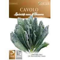 Кейл черен тоскански / Nero di Toscana