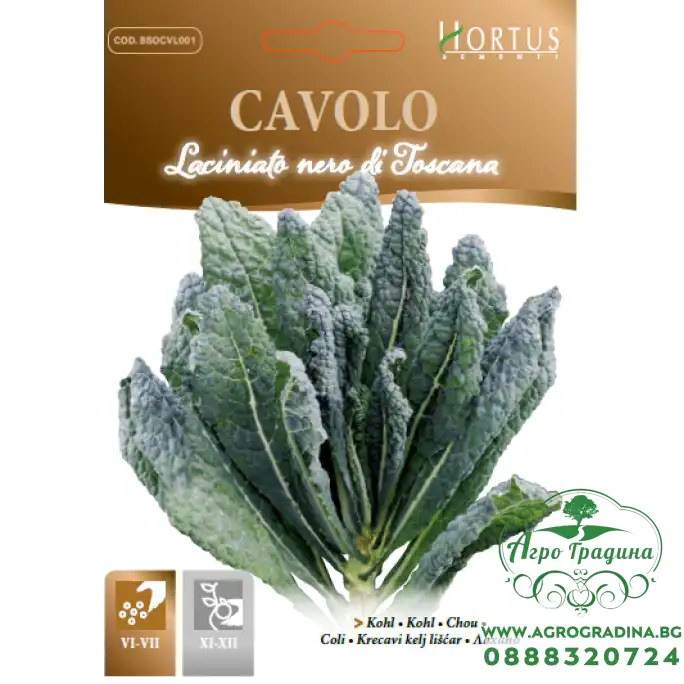 Кейл черен тоскански Nero di Toscana Кейл черен тоскански Nero di Toscana