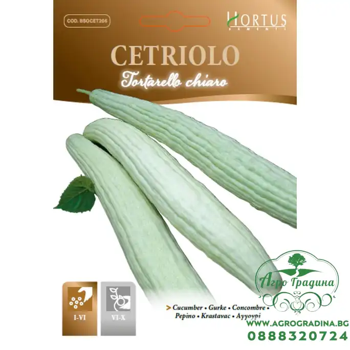 Краставици тип Крокодилки Светли Tortarello chiaro