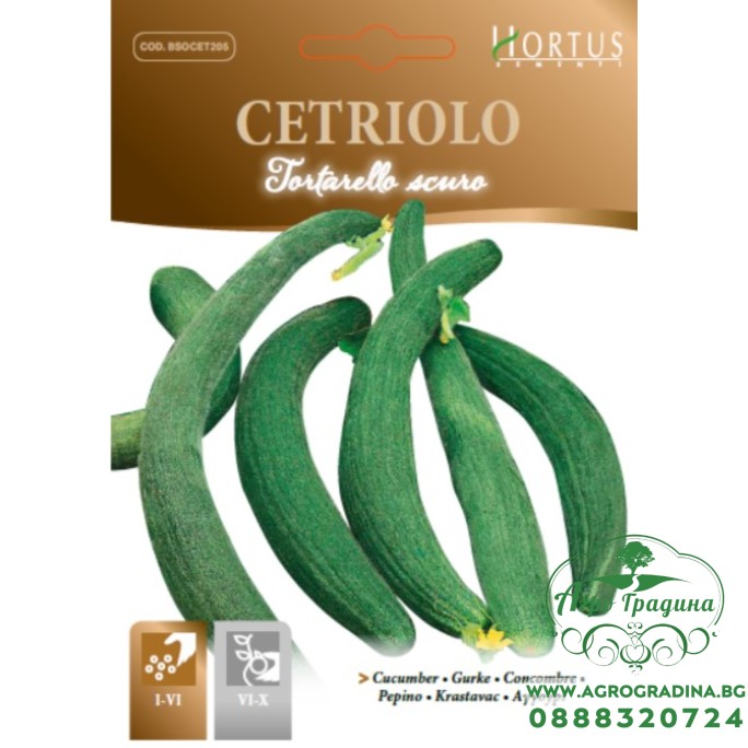 Краставици тип Крокодилки Тъмни Tortarello scuro Краставици тип Крокодилки Тъмни Tortarello scuro