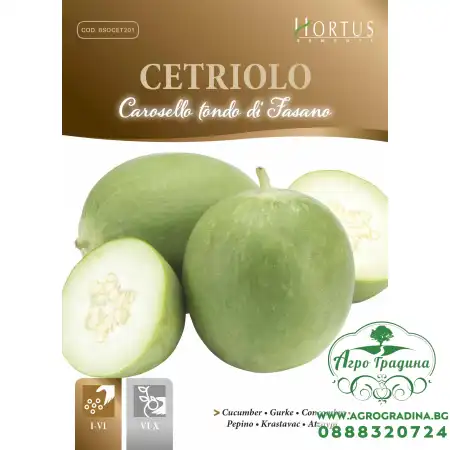 Кръгла краставица Carosello tondo di Fasano (апулийски краставици)