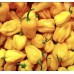 Люти чушки Хабанеро жълти / Peperoncino Habanero giallo