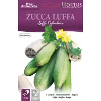 Луфа / Luffa Cylindrica