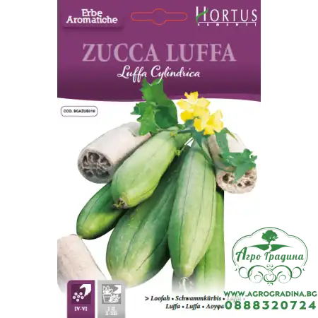 Луфа Luffa Cylindrica