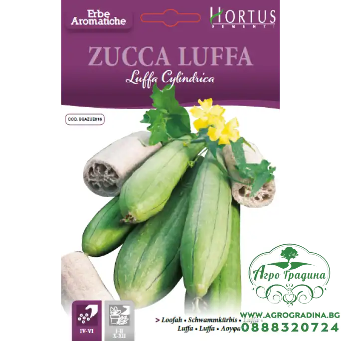 Луфа Luffa Cylindrica