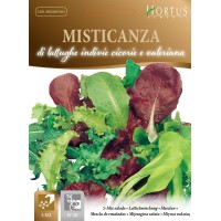 Микс от Марули, Ендивия, Цикория и Валериана