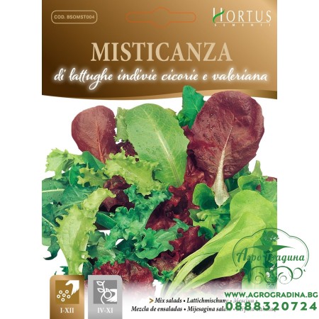 Микс от Марули, Ендивия, Цикория и Валериана