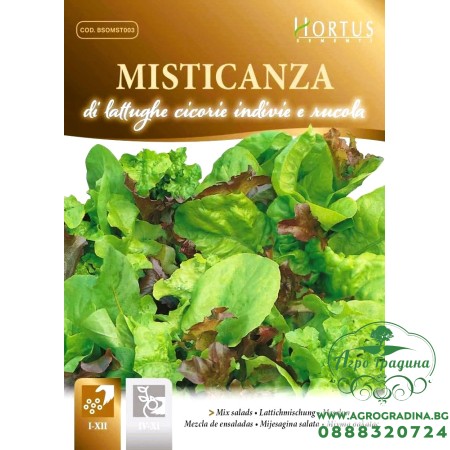 Микс от Марули, Ендивия, Цикория и Рукола
