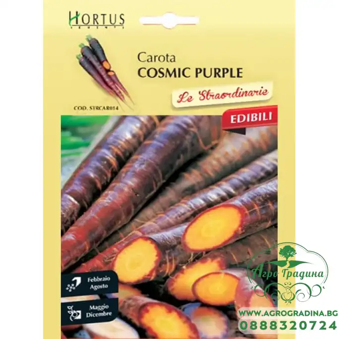 Морков Лилав космик / Cosmic Purple