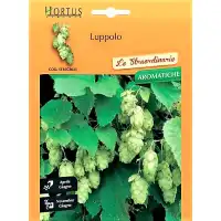 Обикновен хмел / Luppolo