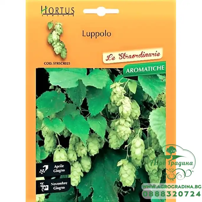 Обикновен хмел Luppolo