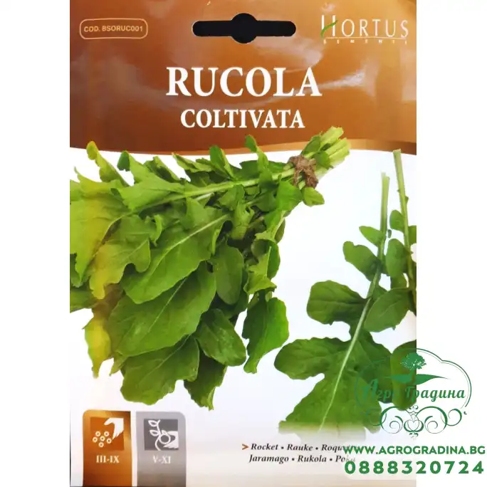 Рукола Rucola Coltivata Рукола Rucola Coltivata