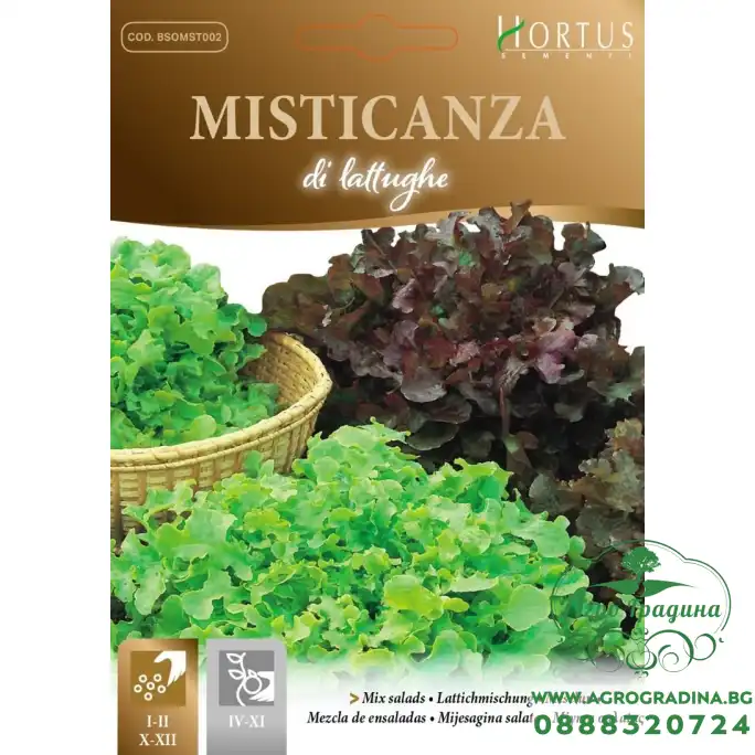 Салата микс 5 вида семена Салата микс 5 вида семена