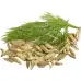 Семена от Див копър (Резене) / Foeniculum vulgare