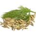 Семена от Див копър (Резене) Foeniculum vulgare – Ароматни Подправки