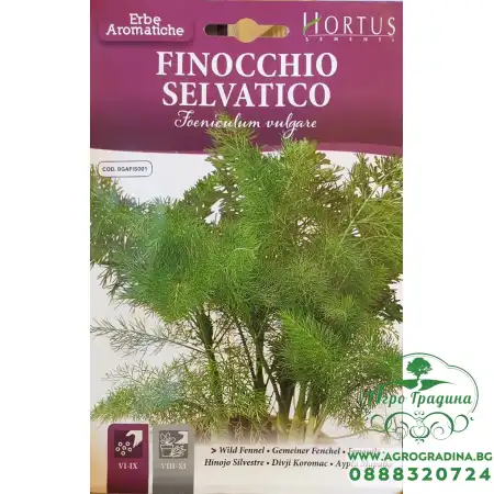 Семена от Див копър (Резене) / Foeniculum vulgare