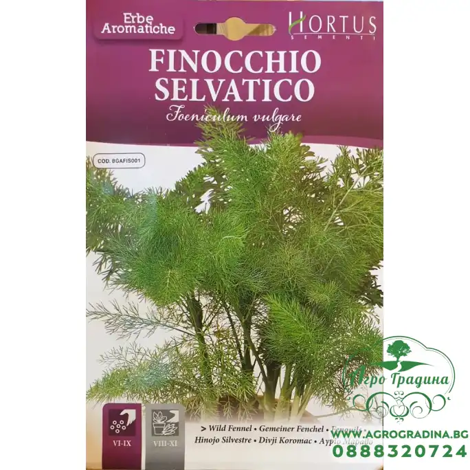 Семена от Див копър (Резене) Foeniculum vulgare