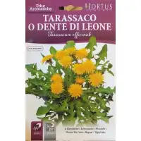 Семена от Глухарче / Taraxacum officinalis
