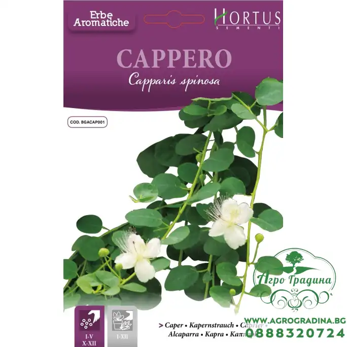Семена от Каперс