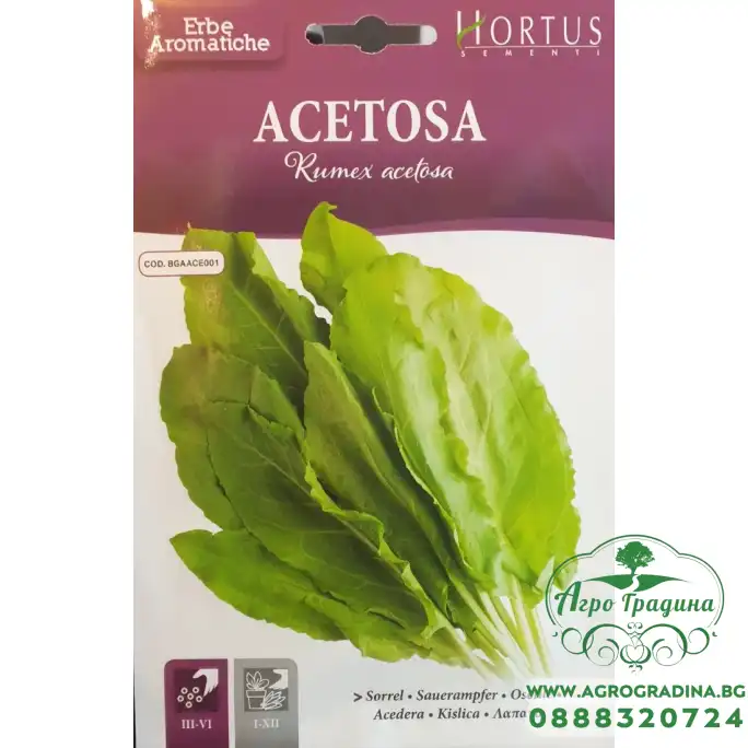 Семена от Киселец Rumex acetosa