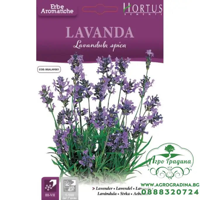 Семена от Лавандула