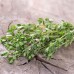 Семена от Мащерка / Thymus vulgaris