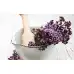Семена от Мащерка Thymus vulgaris