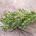 Семена от Мащерка Thymus vulgaris – Ароматни Подправки