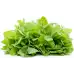 Семена от Мента (Ябълкова) Mentha rotundifolia
