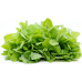 Семена от Мента (Ябълкова) Mentha rotundifolia – Ароматни Подправки