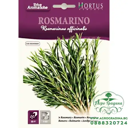 Семена от Розмарин