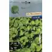 Шисо Зелено (Perilla frutescens var. crispa) – азиатски босилек (перила)
