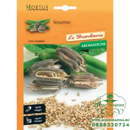 Семена от Сусам / Sesamo
