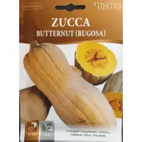 Тиква Бутернут (Набръчкана) Butternut (Rugosa)