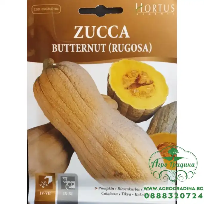 Тиква Бутернут (Набръчкана) / Butternut (Rugosa)