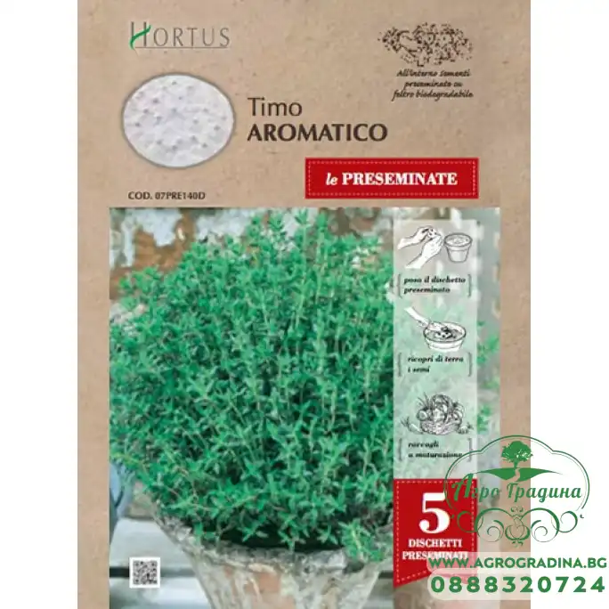 Семена на Диск за Ароматна Мащерка Timo Aromatico Семена на Диск за Ароматна Мащерка Timo Aromatico