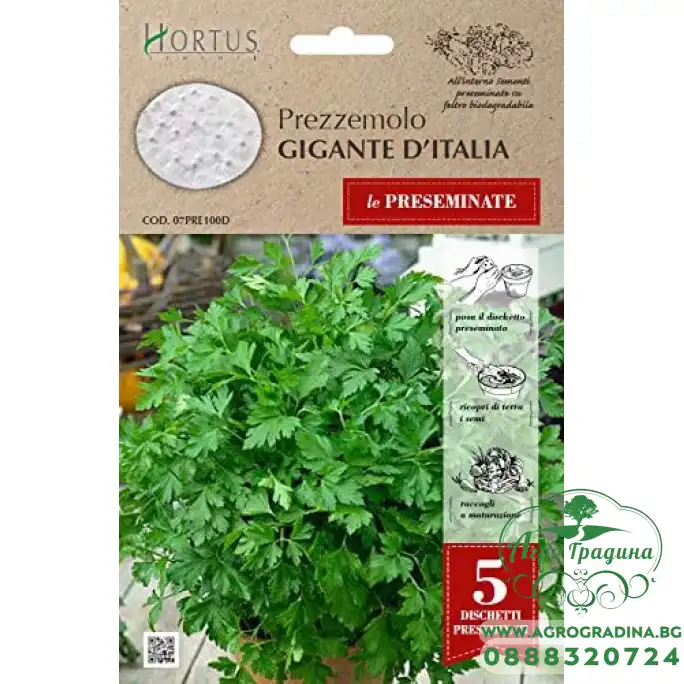 Семена на Диск от Магданоз Италиански Гигант Prezzemolo Gigante Семена на Диск от Магданоз Италиански Гигант Prezzemolo Gigante