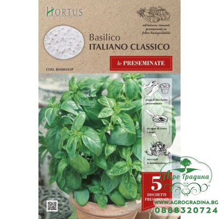 Семена на Диск Босилек Класически Италиански / Basilico Italiano Classico