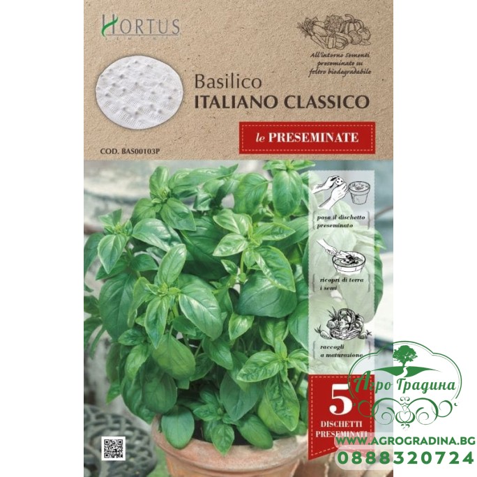 Семена на Диск Босилек Класически Италиански / Basilico Italiano Classico