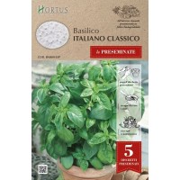 Семена на Диск Босилек Класически Италиански Basilico Italiano Classico