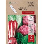 Семена на Лента Цикория Микс / Misticanza cicorie nastro