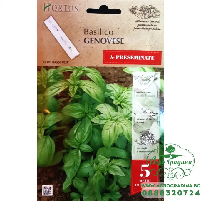 Семена на ЛЕНТА Босилек Класически Италиански Genovese