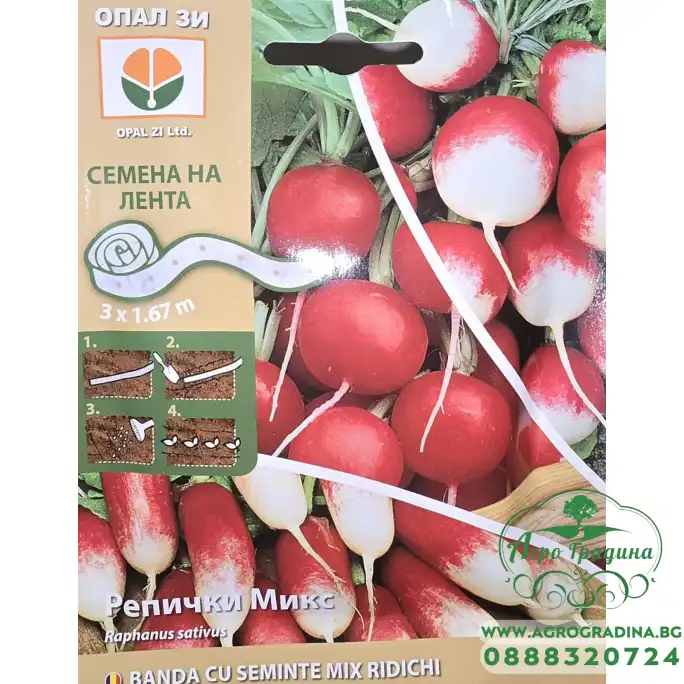 Семена на лента за микс Репички Raphanus sativus