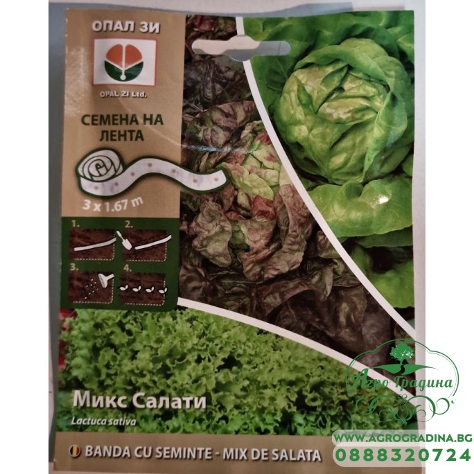 Семена на лента за микс Салати Lactuca sativa