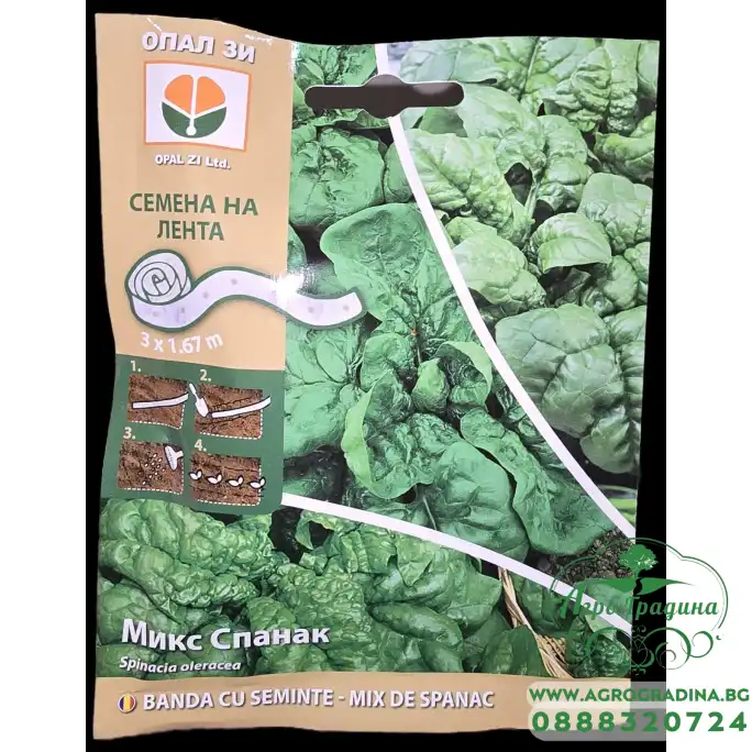 Семена на лента за микс Спанак Spinacia oleracea
