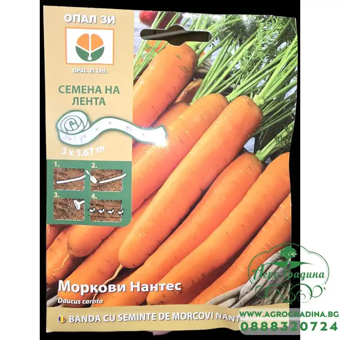 Семена на лента за Моркови Нантес / Daucus carota