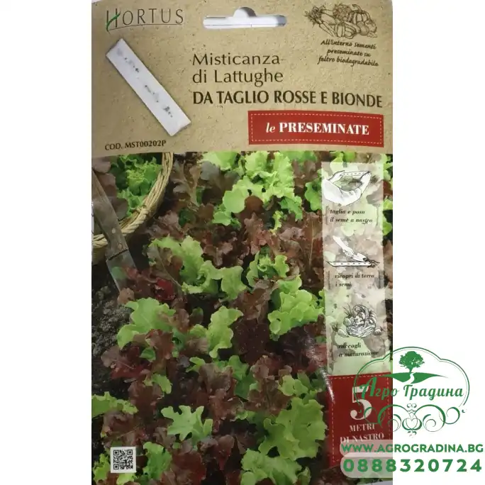 Семена на лента за Микс Салати Червена и Зелена Misticanza di Lattughe da taglio Rosse e Bionde Семена на лента за Микс Салати Червена и Зелена Misticanza di Lattughe da taglio Rosse e Bionde