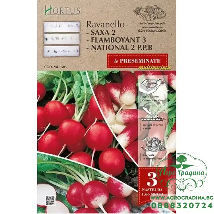 Семена на Лента Репички Микс (три вида) Ravanello Multivarieta